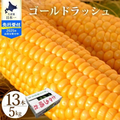 【2025年先行受付】北海道芽室町 十勝めむろスイートコーン 13本入り me010-005c-25