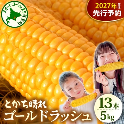 【2027年先行受付】北海道芽室町 十勝めむろスイートコーン 13本入り meb010-005-27
