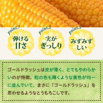【2026年先行受付】北海道芽室町 十勝めむろスイートコーン 13本入り me010-005c-26