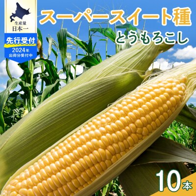 【2024年先行受付】 スーパースイート種 とうもろこし 10本 me050-001-24c