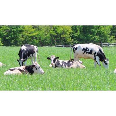 めむろ散走(ガイド付サイクリングツアー)「モーモー散走」me054-002c