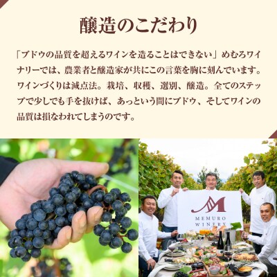 北海道十勝芽室町 赤ワイン:清見 vin2022　750ml×1本(箱入) me032-044c