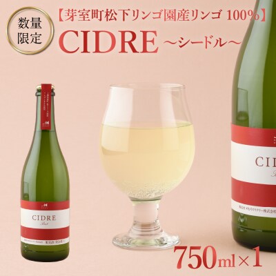 ★数量限定★シードル:CIDRE【芽室町産リンゴ100%】750ml×1本 me032-046c