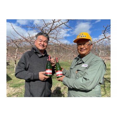 ★数量限定★シードル:CIDRE【芽室町産リンゴ100%】750ml×1本 me032-046c