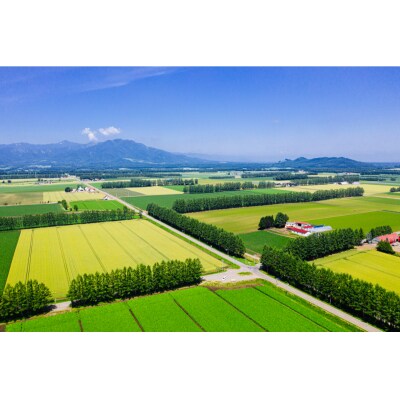 生産量日本一 冷凍 ホールコーン 1kg シューストリングポテト 800g me026-032c