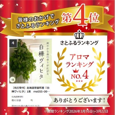 【先行受付】北海道芽室町産「白樺ヴィヒタ」1束　me055-001c-3