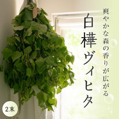 北海道芽室町産「白樺ヴィヒタ」2束　me055-002c-3