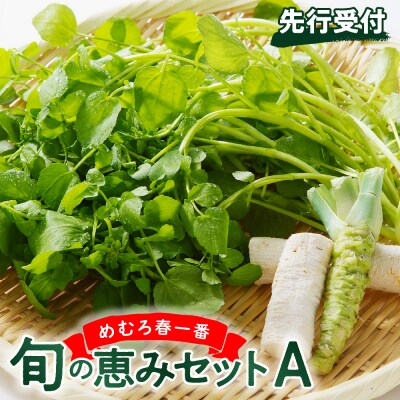 【先行受付】【2026年4月下旬より発送】めむろ春一番旬の恵みセットA me011-002c