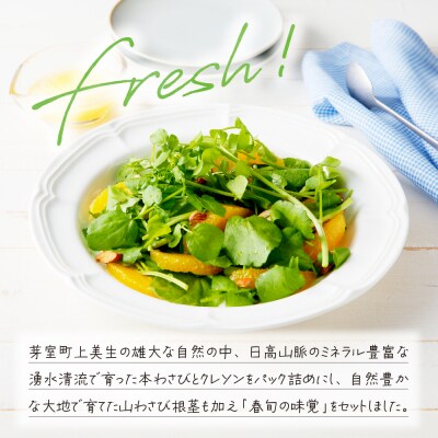 【先行受付】【2026年4月下旬より発送】めむろ春一番旬の恵みセットA me011-002c