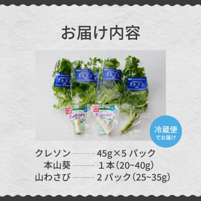 【先行受付】【2026年4月下旬より発送】めむろ春一番旬の恵みセットA me011-002c