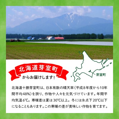 【先行受付】【2026年4月下旬より発送】めむろ春一番旬の恵みセットA me011-002c