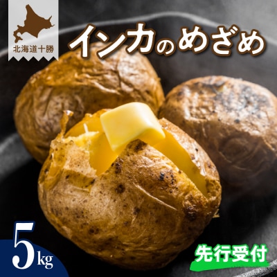 北海道十勝芽室町 貴重品種 芽室町産インカのめざめ 5kg meb002-007-26