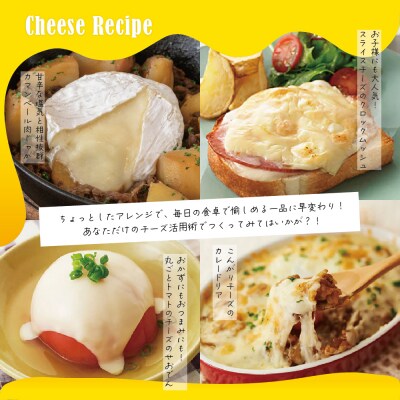 【3ヵ月定期便】明治北海道十勝チーズ ベスト7  計3回 me003-064-t3c