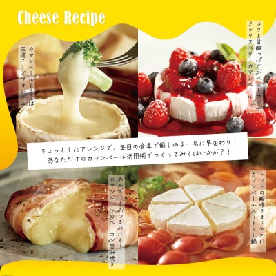 【6ヵ月定期便】明治北海道十勝チーズ カマンベール4種5個セット 計6回 me003-068-t6c