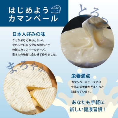 【3ヵ月定期便】明治北海道十勝チーズ カマンベール4種8個セット 計3回 me003-069-t3c