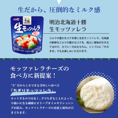 【6ヵ月定期便】明治北海道十勝チーズ 生モッツァレラ6個 セット 計6回 me003-070-t6c