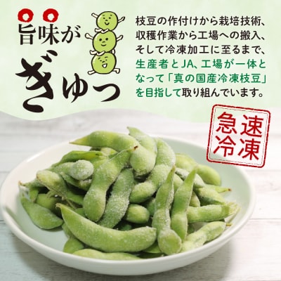 北海道十勝芽室町 業務用えだまめ 10袋 me003-098c