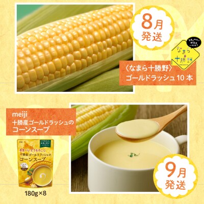 【先行受付】【6ヵ月定期便】北海道十勝芽室町 もろこしづくし me000-012-s4c