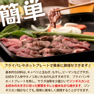 【4月スタート】【毎月3回定期便】小久保のラムジンギスカン1.2kg me006-001-s4c