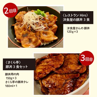 【全5回 定期便】北海道十勝芽室町 豚丼食べ比べ便 me000-015-t5c