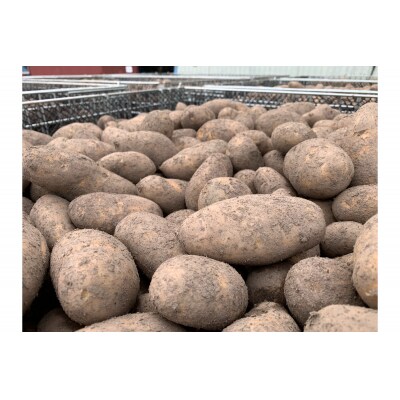 1月発送北海道十勝芽室町 熟成365日Over 越冬じゃがいも北海こがね3kg me001-024c