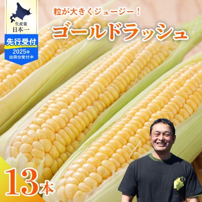 【7月下旬～8月上旬発送予定】北海道十勝芽室町 ゴールドラッシュ13本 me062-002