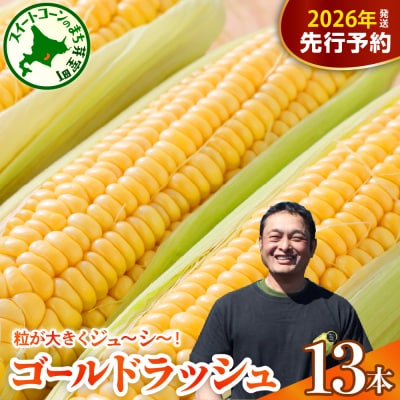 【先行受付】2026年度産 中捨農場 ゴールドラッシュ13本 me062-002c-26