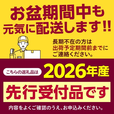 【先行受付】2026年度産 中捨農場 ゴールドラッシュ13本 me062-002c-26