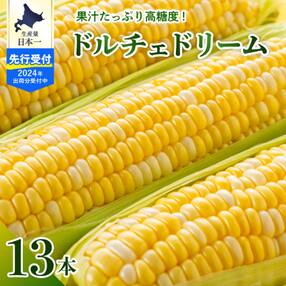 【2024年先行受付】北海道十勝芽室町 ドルチェドリーム 13本 me062-001-24c