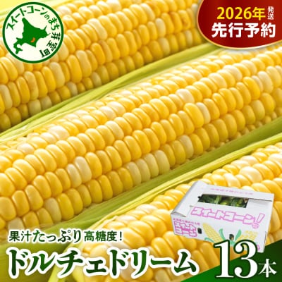 【先行受付】北海道芽室町 中捨農場 ドルチェドリーム 13本 me062-001c-26