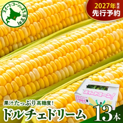 【先行受付】北海道芽室町 中捨農場 ドルチェドリーム 13本 me062-001-27b