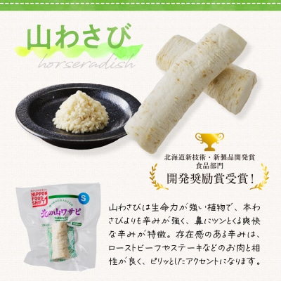 北海道十勝芽室町 北の山ワサビ(根茎)Mサイズ1本入×5パック me011-003c