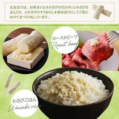 北海道十勝芽室町 北の山ワサビ(根茎)Mサイズ1本入×5パック me011-003c