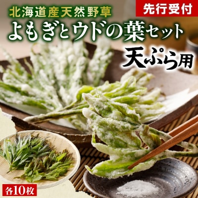 【先行受付】【2026年5月発送】天ぷら用 ヨモギとウドの葉セット me011-006c