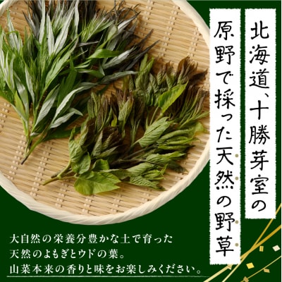 【先行受付】【2026年5月発送】天ぷら用 ヨモギとウドの葉セット me011-006c