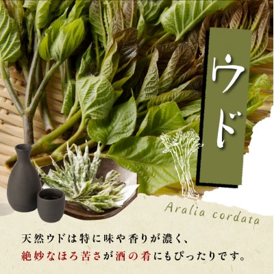 【先行受付】【2026年5月発送】天ぷら用 ヨモギとウドの葉セット me011-006c