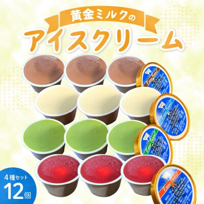 北海道芽室町 ジャージー牛乳を使ったアイスクリーム4種12個セット me058-001c