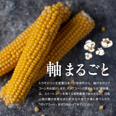 手軽で美味しい!北海道十勝芽室町 ポップコーン イエロー10本 me066-002c