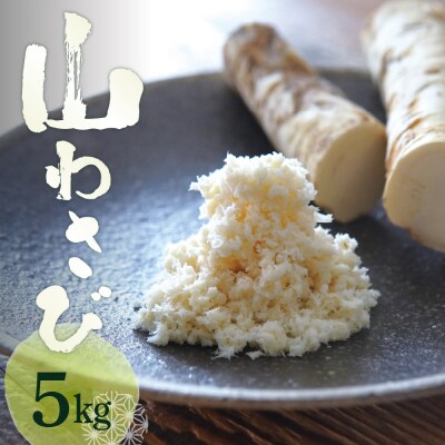 北海道芽室町 十勝産山わさび(土付き5kg)me064-003c