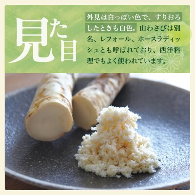 北海道芽室町 十勝産山わさび(土付き5kg)me064-003c