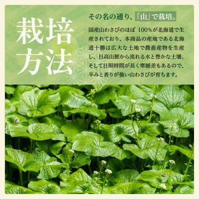 北海道芽室町 十勝産山わさび(土付き5kg)me064-003c