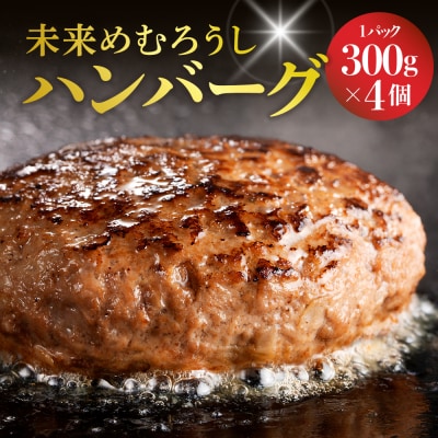 北海道十勝芽室町 未来めむろうし100%ハンバーグ　300g×4パック me067-002c