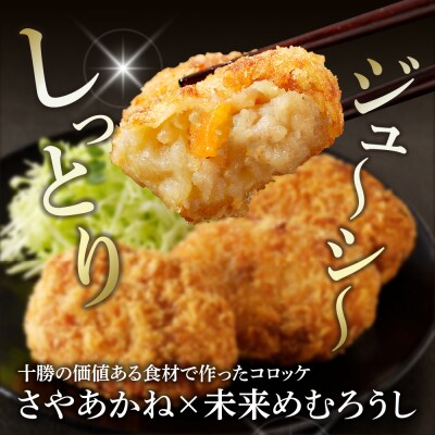 北海道十勝芽室町 十勝の肉じゃがコロッケ【勝コロ】4個入り×2パック me067-005c