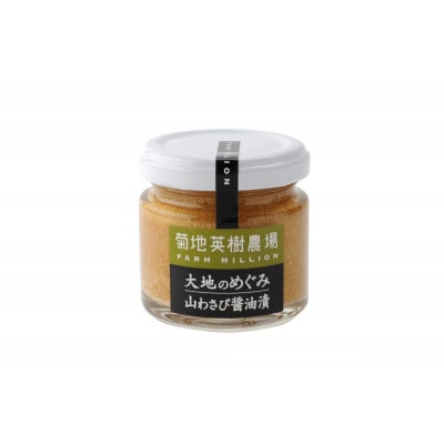 北海道十勝芽室町 大地の熟成 手造り味噌・なんばん味噌・山わさび me016-008c