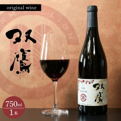 芽室町 ファーム・ミリオンオリジナルワイン 双鷹(SOYO) 2020 山幸 me016-009c