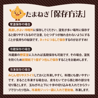 【2025年出荷分】北海道十勝芽室産 たまねぎ10㎏ 1箱 me002-023-24c