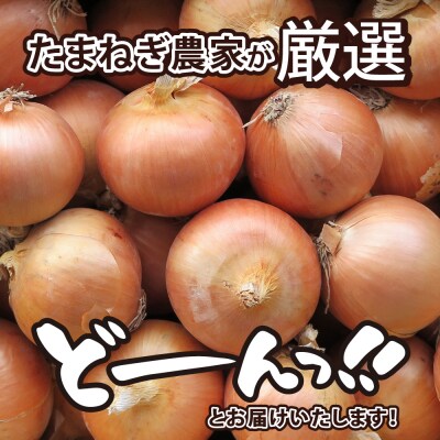 【先行受付】【2026年10月より配送予定】北海道十勝芽室産 たまねぎ10kg 1箱