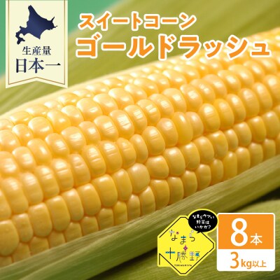 【先行受付】北海道十勝芽室町 スイートコーンゴールドラッシュ8本 me001-019-24c