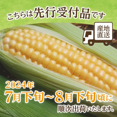 【先行受付】北海道十勝芽室町 スイートコーンゴールドラッシュ8本 me001-019-24c