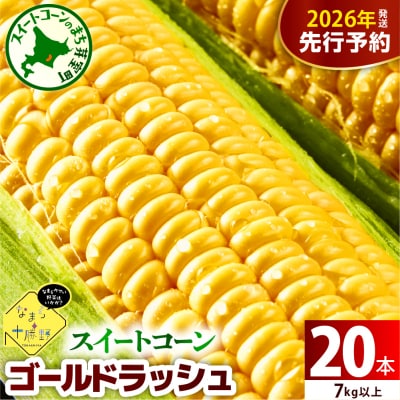 【先行受付】北海道十勝芽室町 スイートコーンゴールドラッシュ20本 me001-020c-26 | ふるさと納税のお礼品